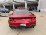 2024 Mustang Thumbnail 13