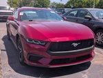 2025 Mustang Thumbnail 5