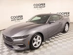 2026 Mustang Thumbnail 10