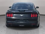 2016 Mustang Thumbnail 6