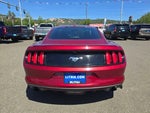 2016 Mustang Thumbnail 4