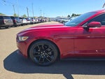 2016 Mustang Thumbnail 8