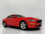 2018 Mustang Thumbnail 1