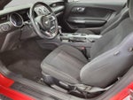 2018 Mustang Thumbnail 10