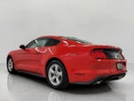 2018 Mustang Thumbnail 21