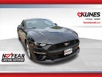 2019 Mustang Thumbnail 1