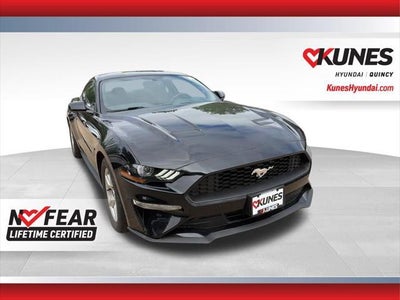 2019 Ford Mustang Ecoboost 2DR Fastback