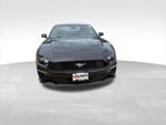 2019 Mustang Thumbnail 4
