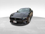2019 Mustang Thumbnail 5