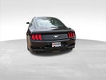 2019 Mustang Thumbnail 9