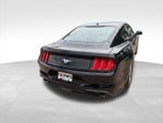2019 Mustang Thumbnail 10