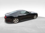 2019 Mustang Thumbnail 12
