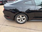 2019 Mustang Thumbnail 13
