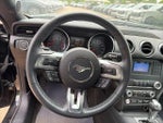 2019 Mustang Thumbnail 19
