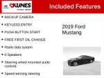 2019 Mustang Thumbnail 2