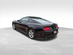 2019 Mustang Thumbnail 8