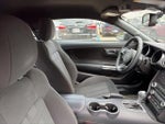 2019 Mustang Thumbnail 15