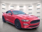 2019 Mustang Thumbnail 1