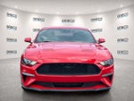 2019 Mustang Thumbnail 2