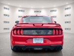 2019 Mustang Thumbnail 4