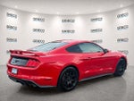 2019 Mustang Thumbnail 5