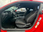 2019 Mustang Thumbnail 6