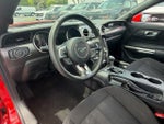 2019 Mustang Thumbnail 7