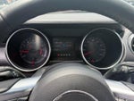 2019 Mustang Thumbnail 13