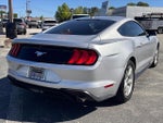 2019 Mustang Thumbnail 3