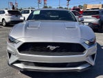 2019 Mustang Thumbnail 8