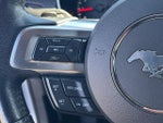 2019 Mustang Thumbnail 17