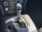 2019 Mustang Thumbnail 22