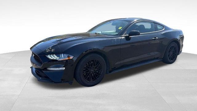 Preowned 2019 Ford Mustang EcoBoost for Sale