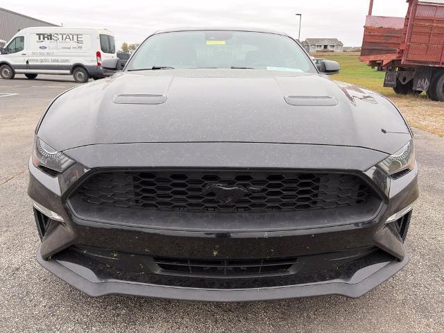 2019 Ford Mustang - $20,000