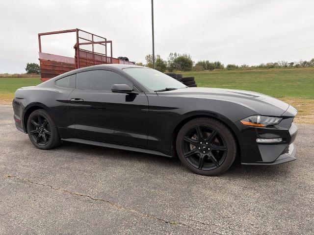 2019 Ford Mustang - $20,000