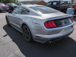 2020 Mustang Thumbnail 4