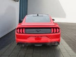2020 Mustang Thumbnail 4