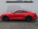 2020 Mustang Thumbnail 6