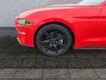 2020 Mustang Thumbnail 26