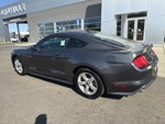 2020 Mustang Thumbnail 3