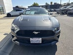 2020 Mustang Thumbnail 8