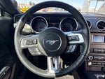 2020 Mustang Thumbnail 16