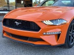 2021 Mustang Thumbnail 6