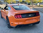 2021 Mustang Thumbnail 8