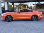 2021 Mustang Thumbnail 10