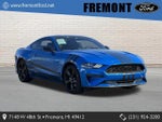2021 Mustang Thumbnail 1