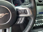 2021 Mustang Thumbnail 13
