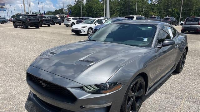 2022 Ford Mustang EcoBoost