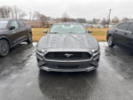 2022 Mustang Thumbnail 2