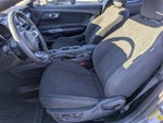 2022 Mustang Thumbnail 14